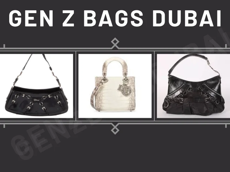 Dior Bag