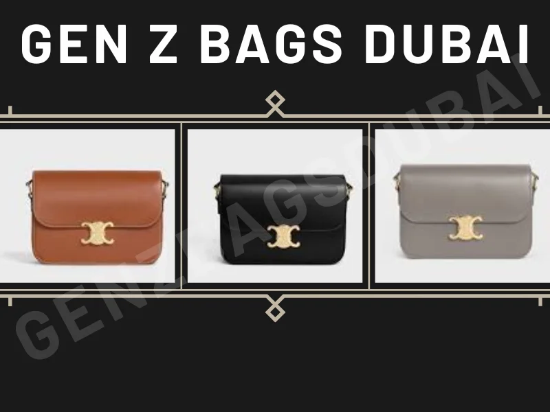 Elegant Celine Triomphe bag dupe with iconic clasp and minimalist structured silhouette