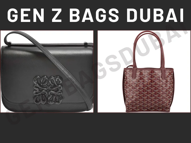 Loewe Small Goya Bag in silk calfskin vs Goyard Mini Anjou tote black – luxury handbag comparison showing structured minimalist flap bag next to reversible coated canvas mini tote for global discerning buyers