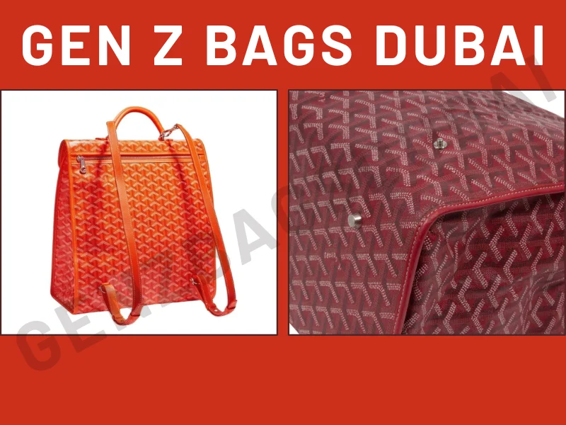 Goyard Red Backpack Saint Léger in rare red Goyardine canvas – iconic quiet luxury accessory with hand-painted chevron pattern and Parisian elegance
