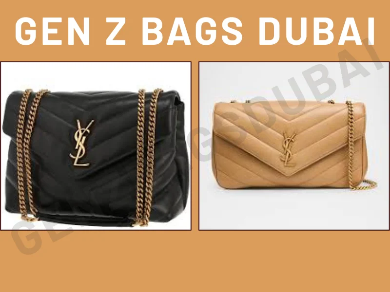 Saint Laurent Small Loulou Bag